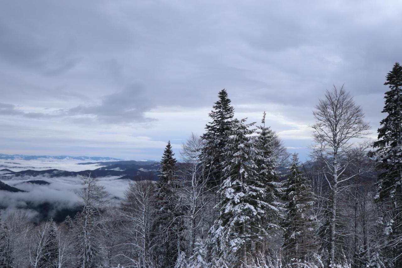 Apartmani Vidik - Groodvy House Jahorina Eksteriør bilde